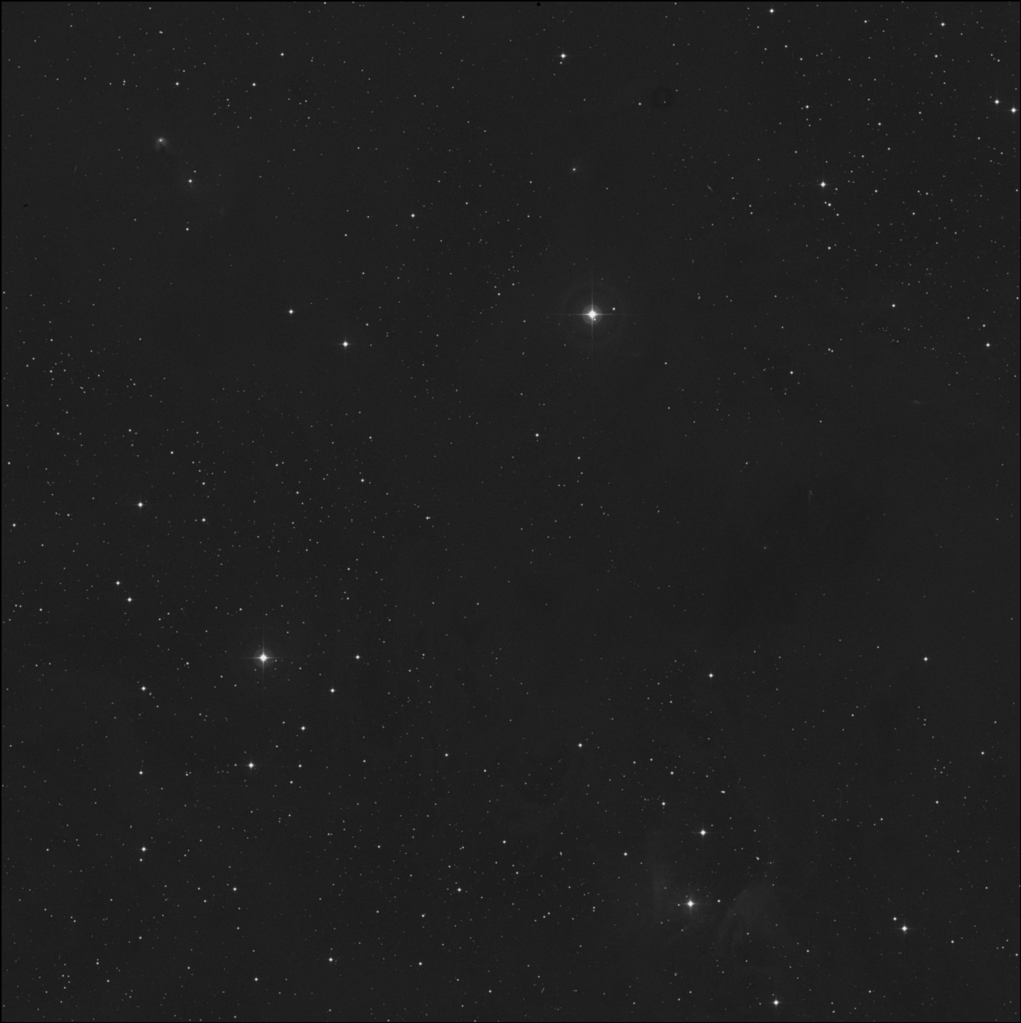 Barnard 206