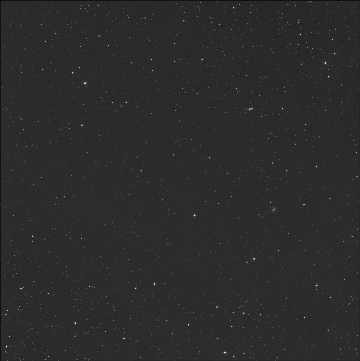 Barnard 219