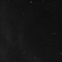Barnard 224