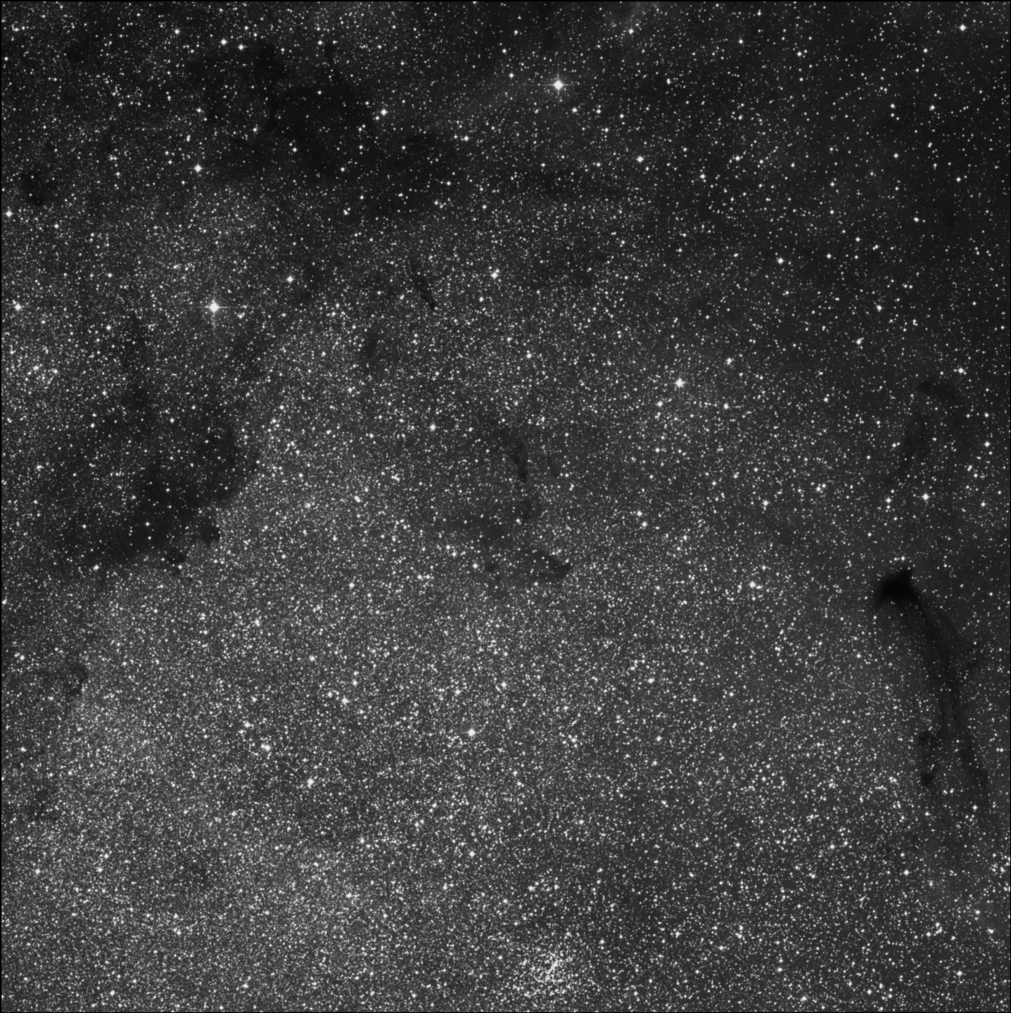 Barnard 307