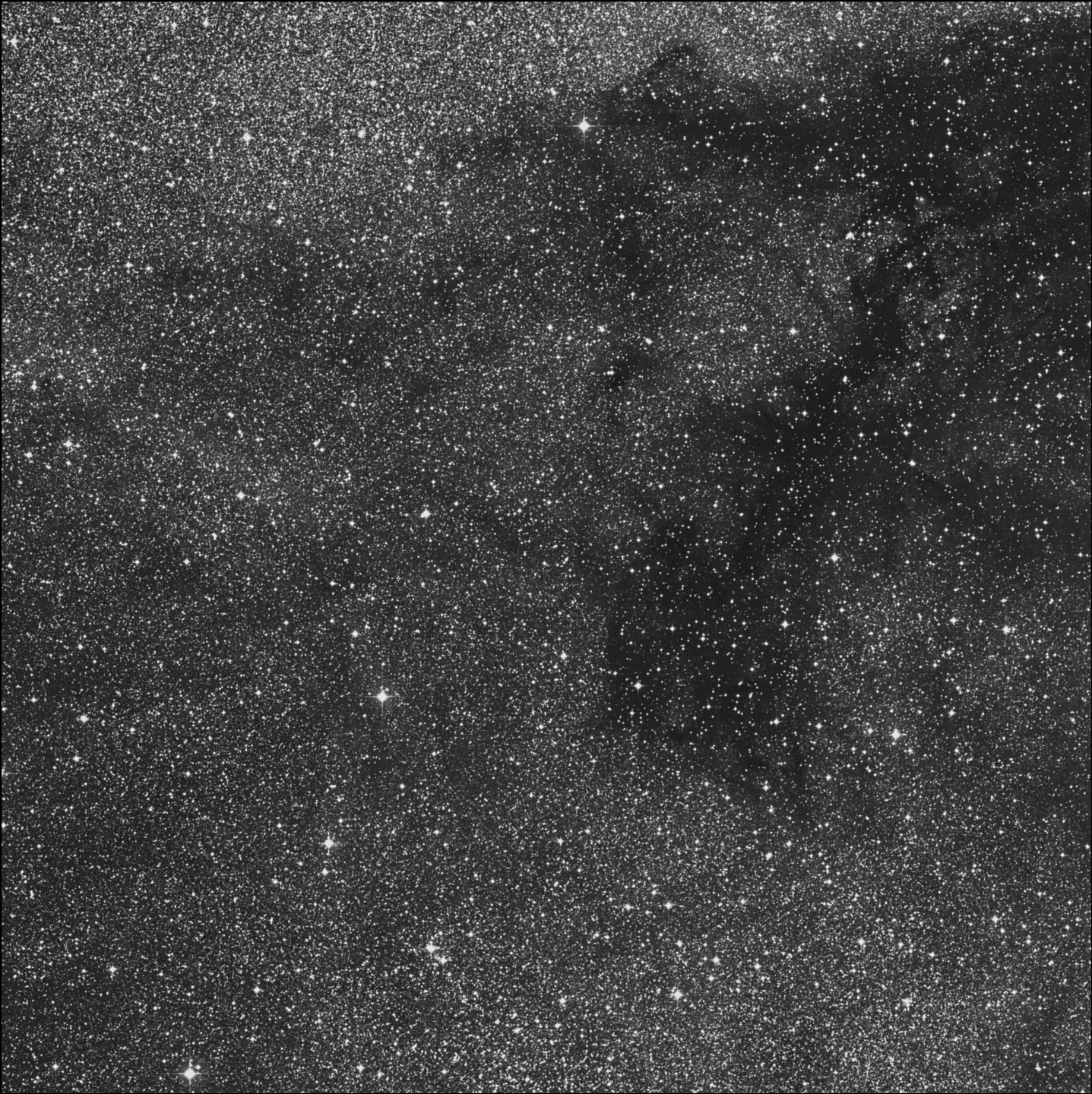Barnard 312