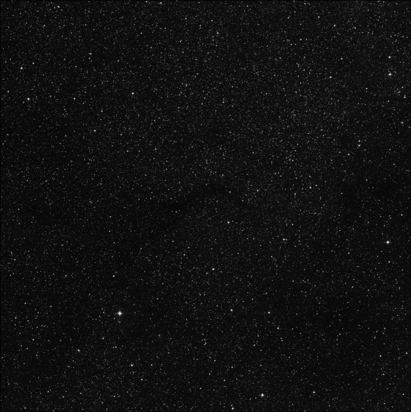 Barnard 313