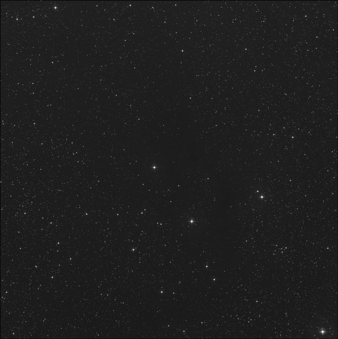 Barnard 354