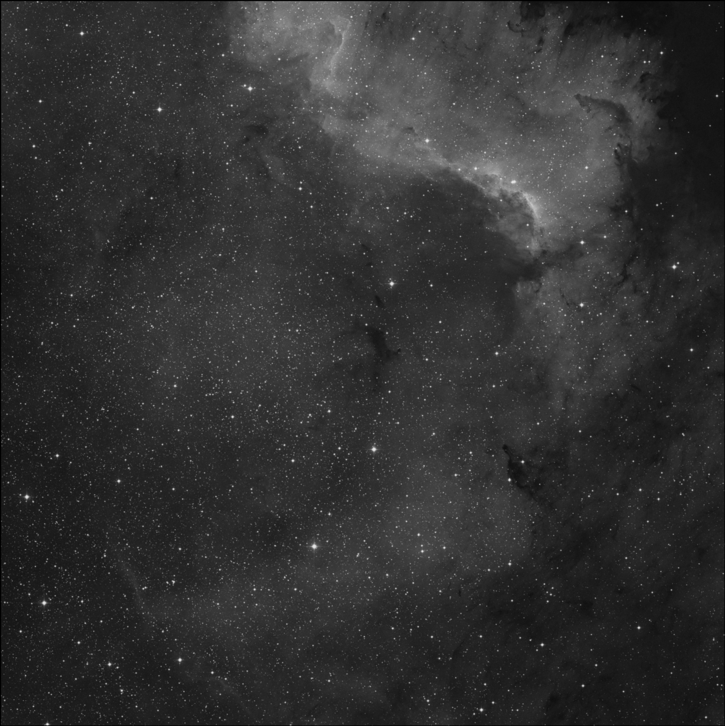 Barnard 355