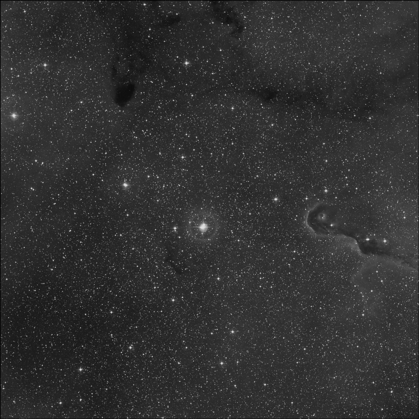 Nebulosa de la Trompa de Elefante