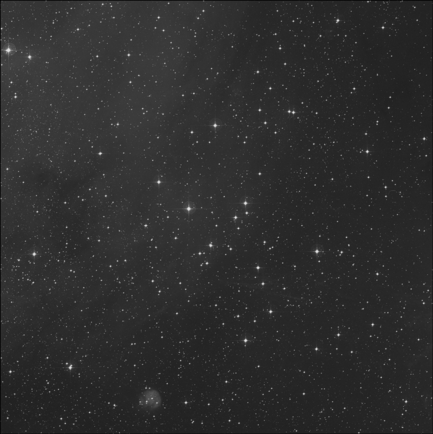 Collinder 203, CR 203