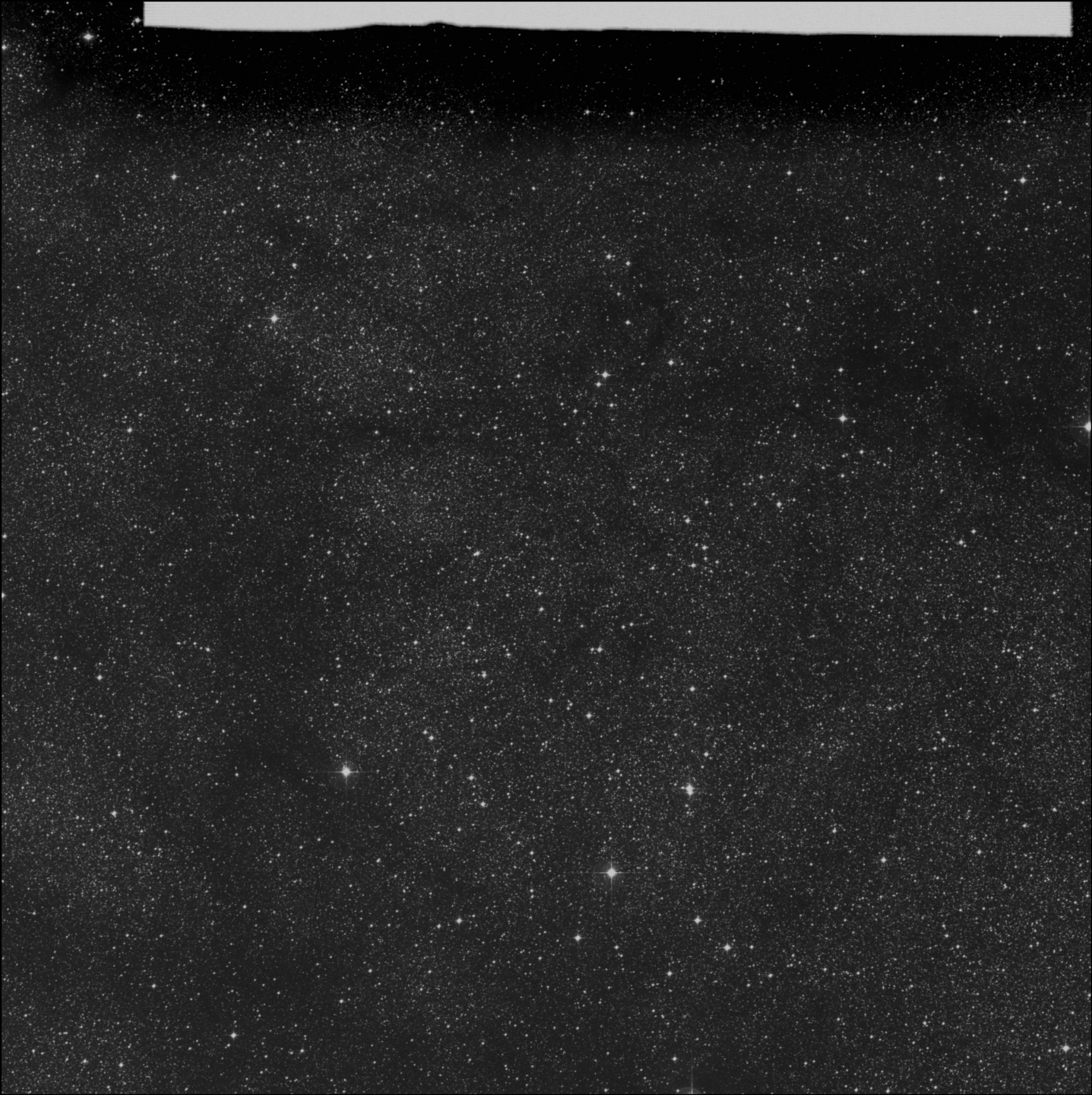 Collinder 338, CR 338