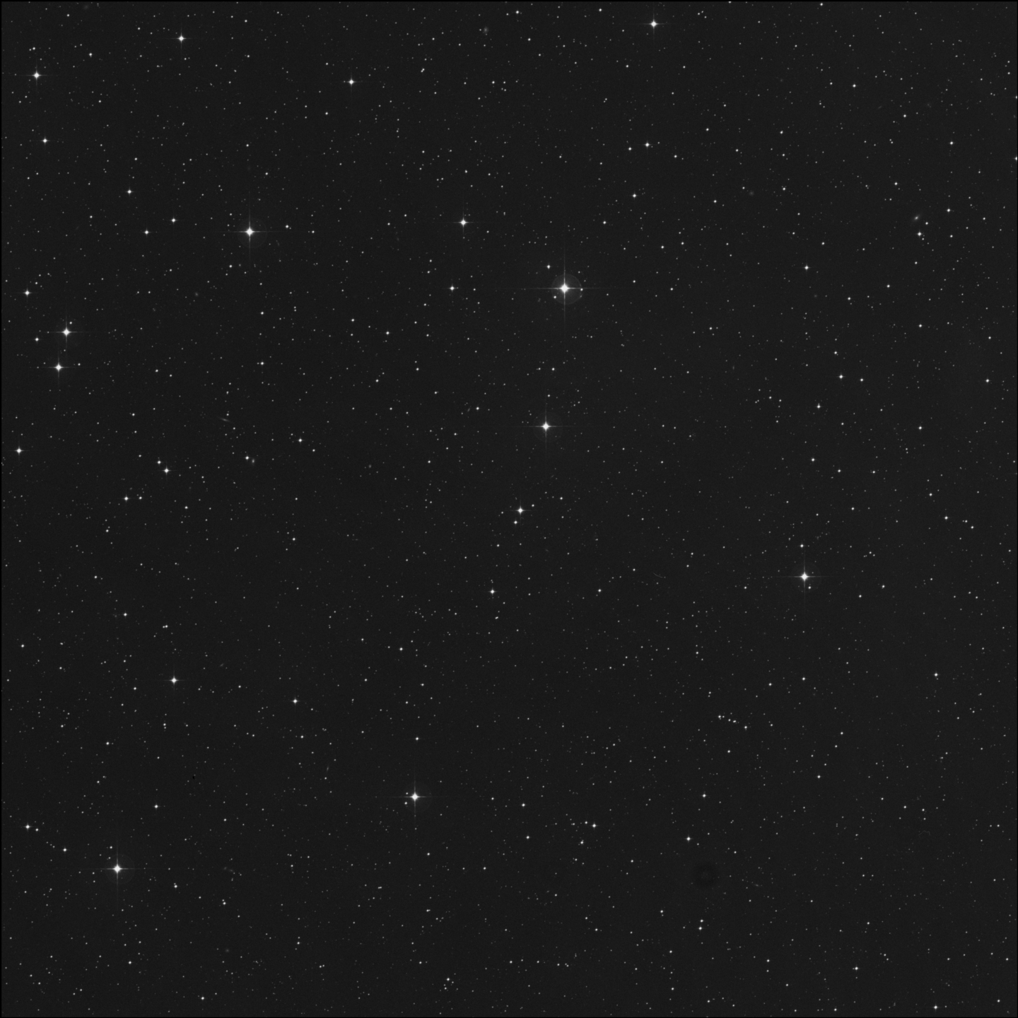 Collinder 411, CR 411