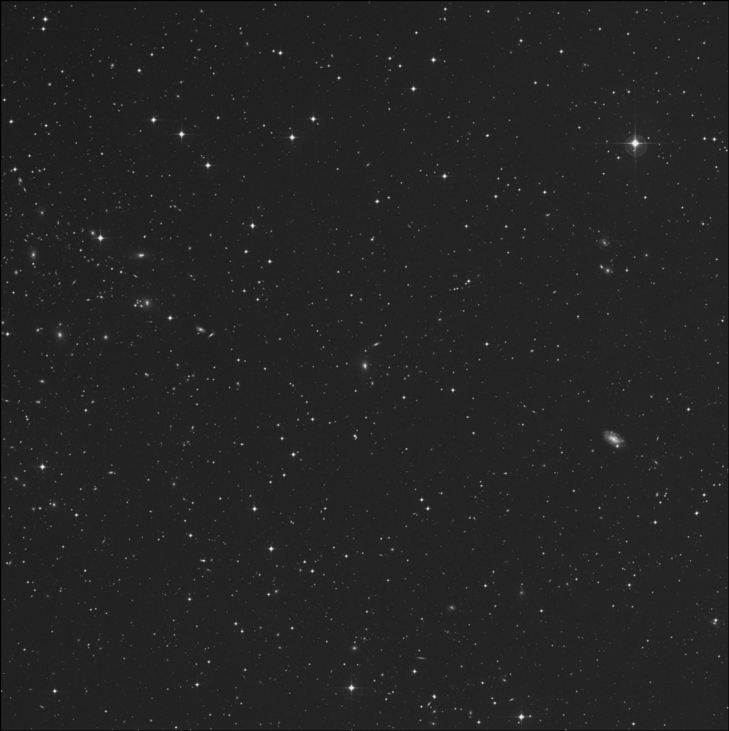 IC 194202