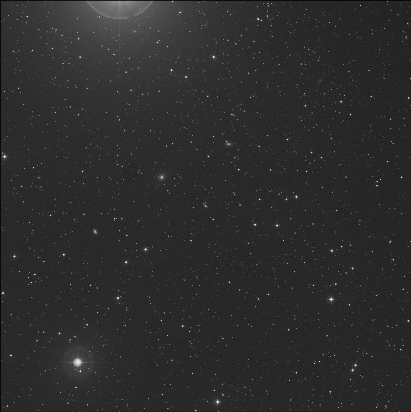 IC 2194