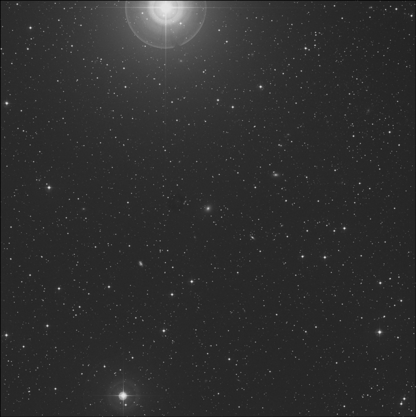 IC 2196