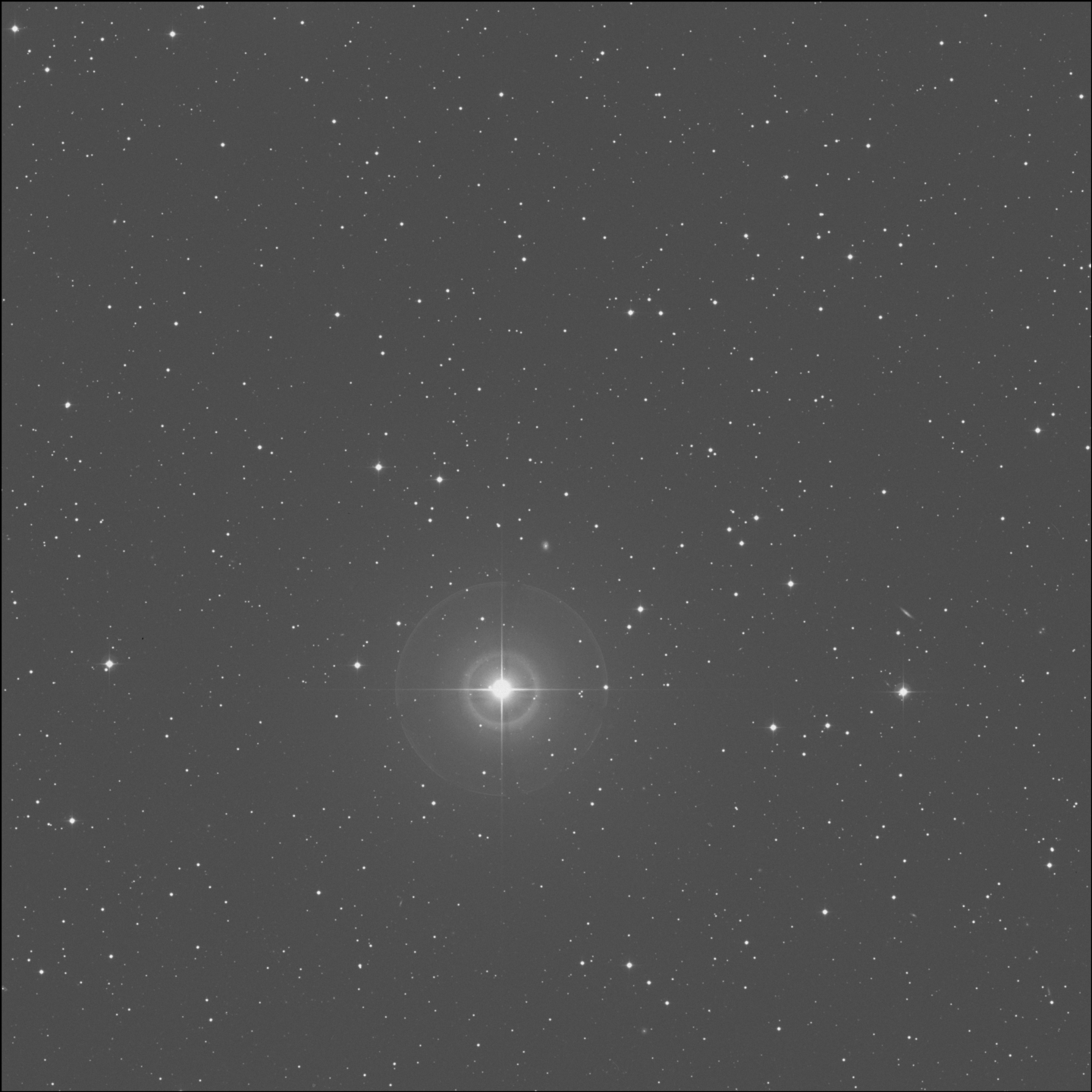 IC 2392