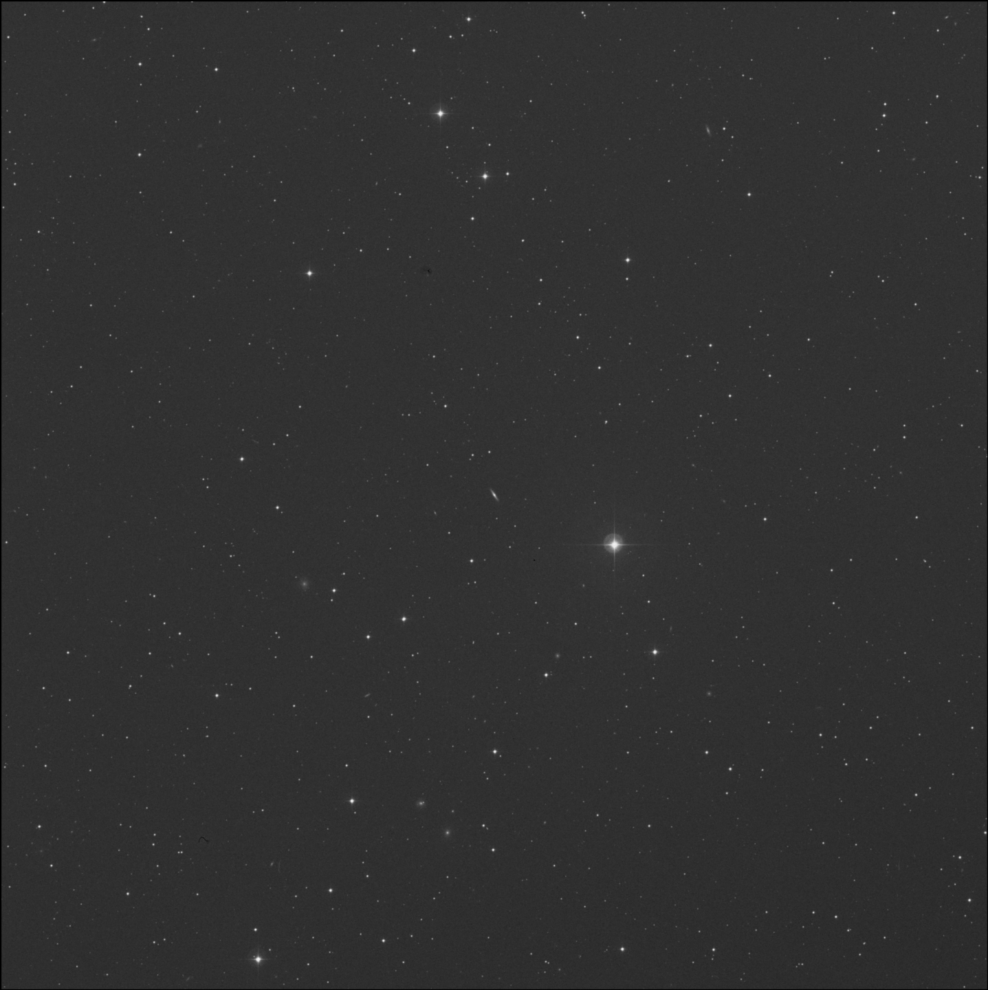 IC 2439