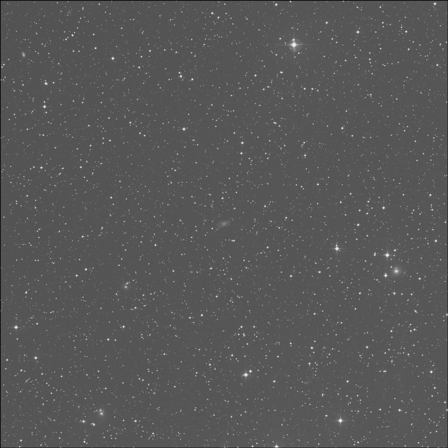 IC 2556