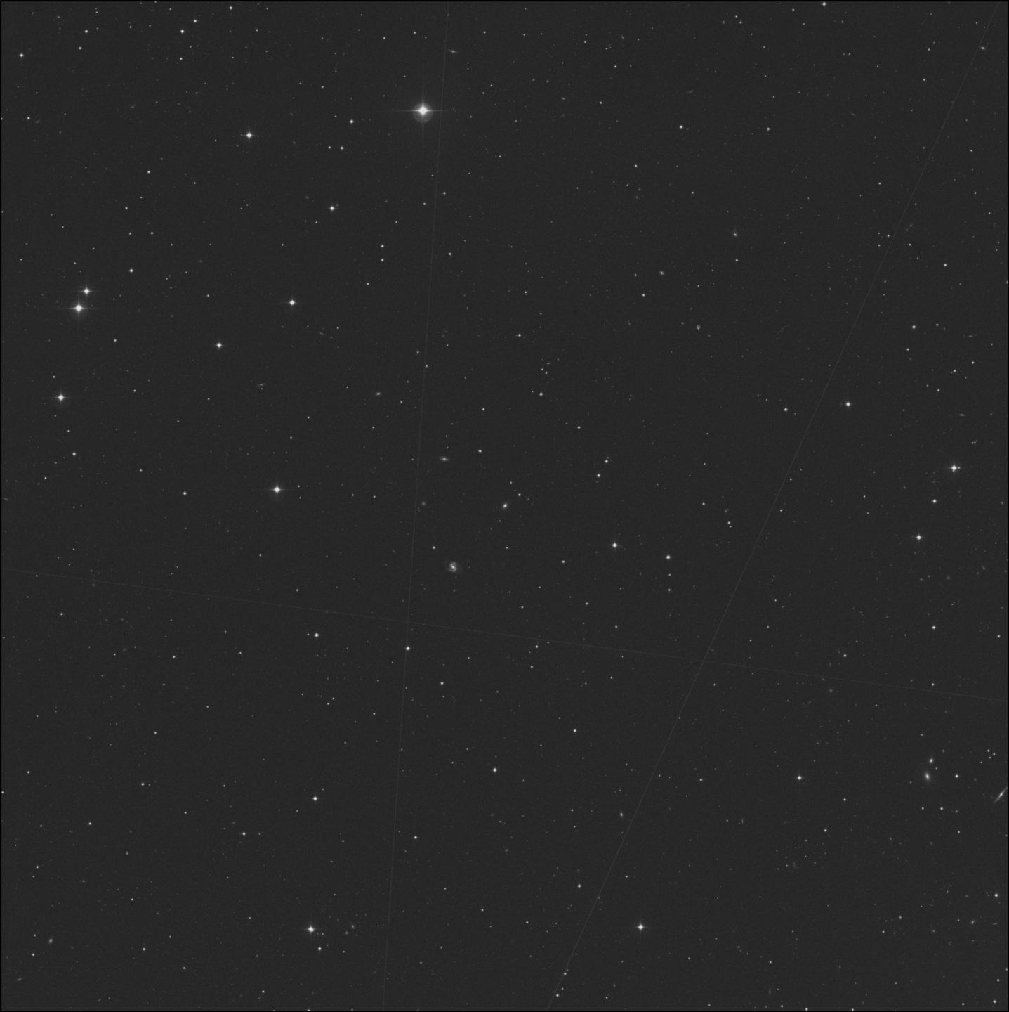 IC 2954