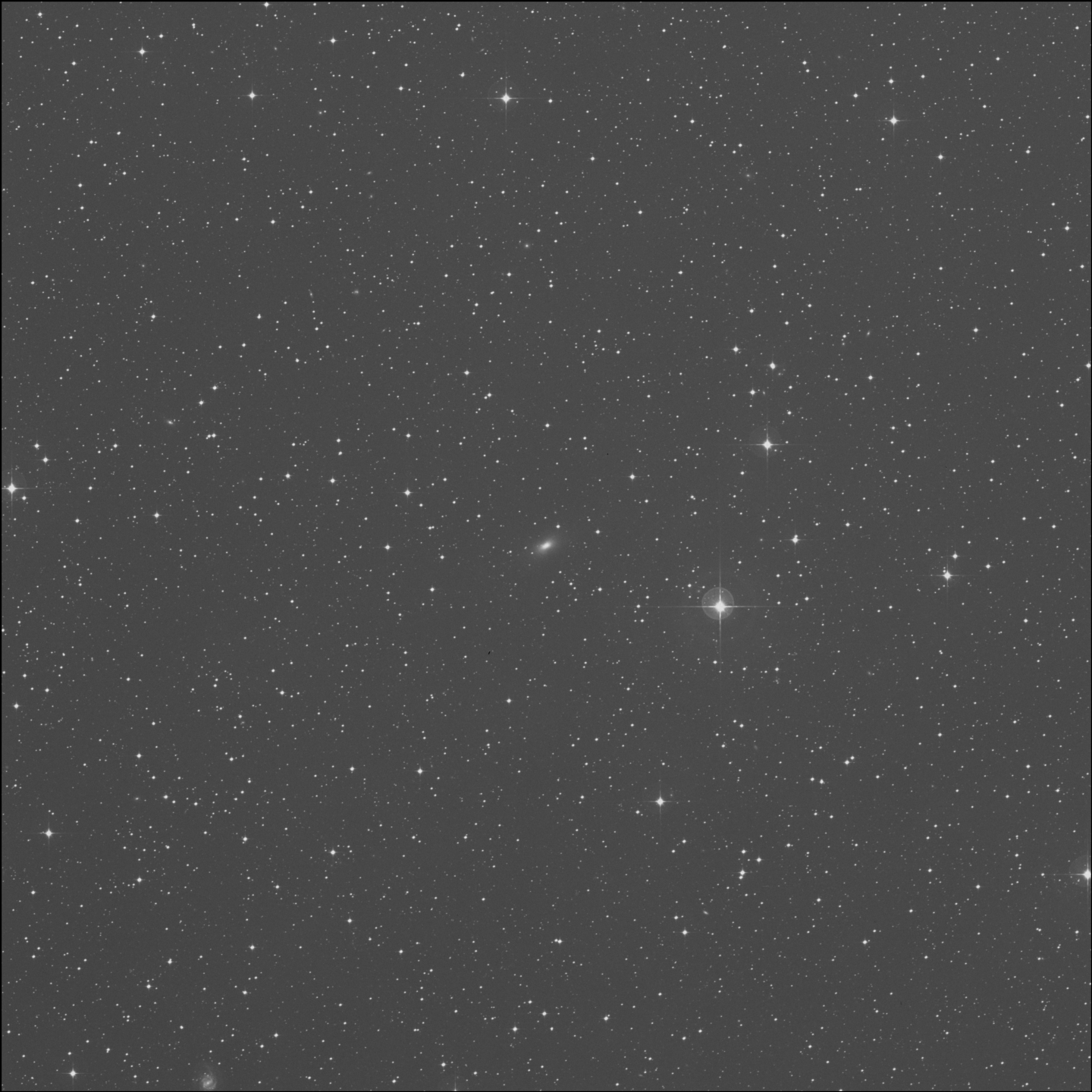 IC 2977