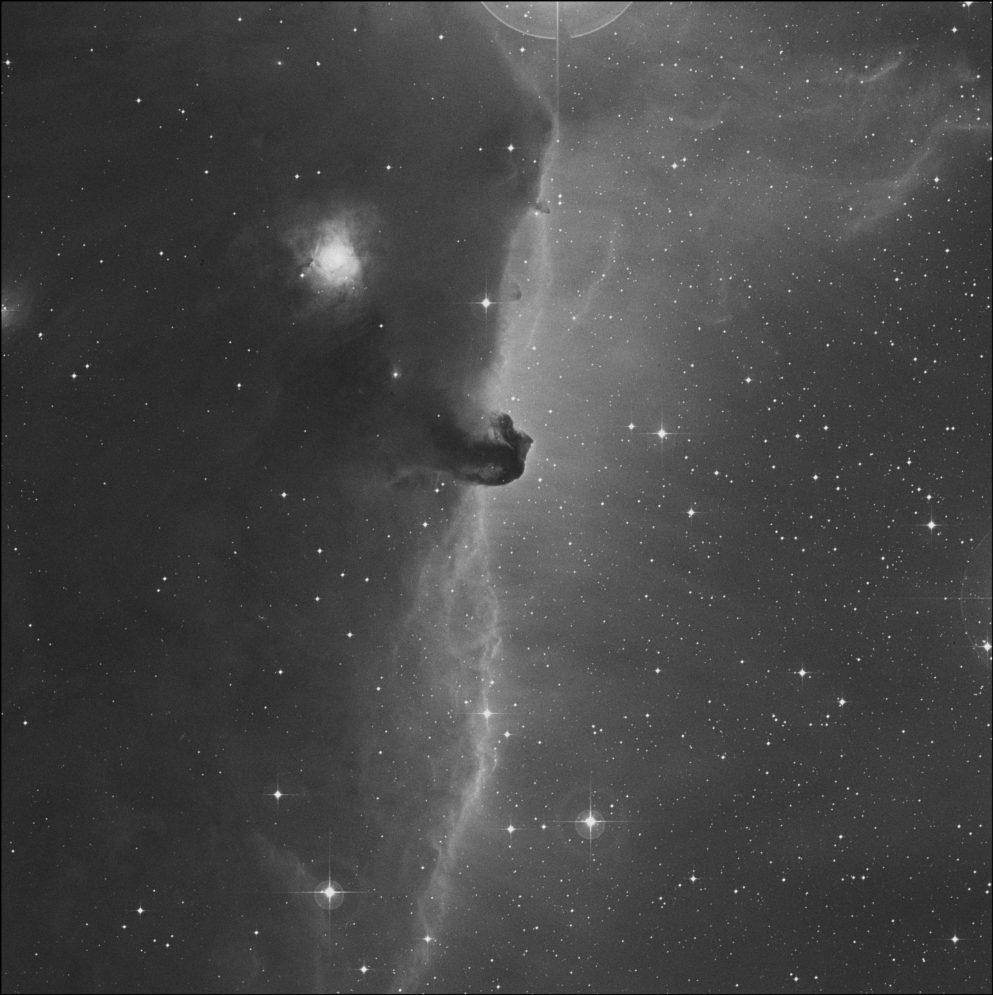 Nebulosa Cabeza de Caballo