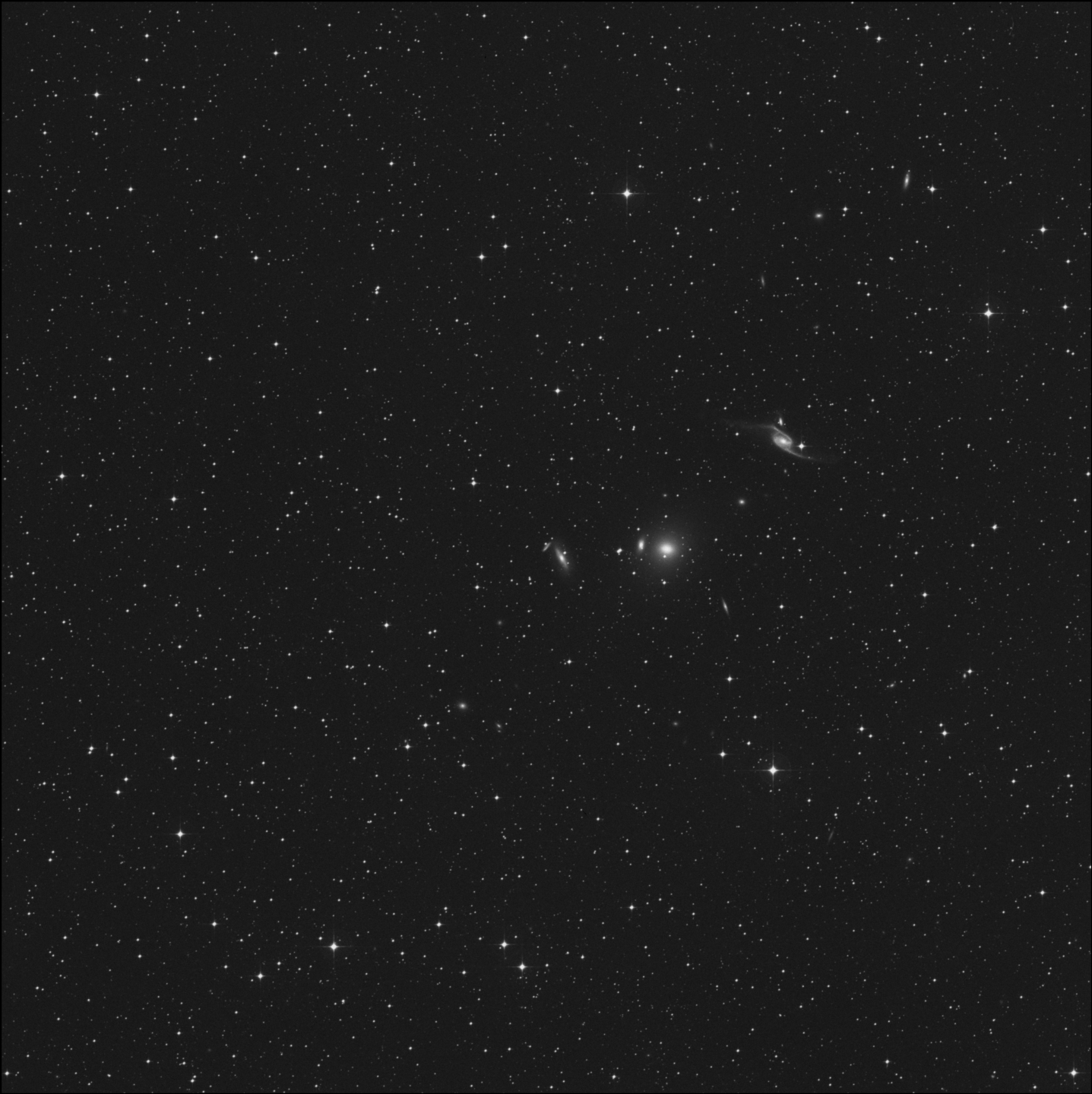 IC 4981