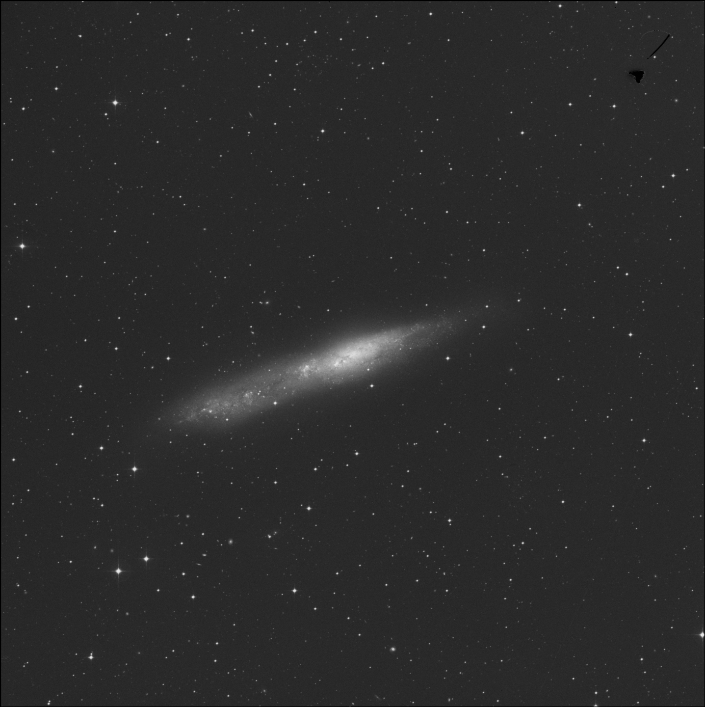 Galaxia de la Ballena