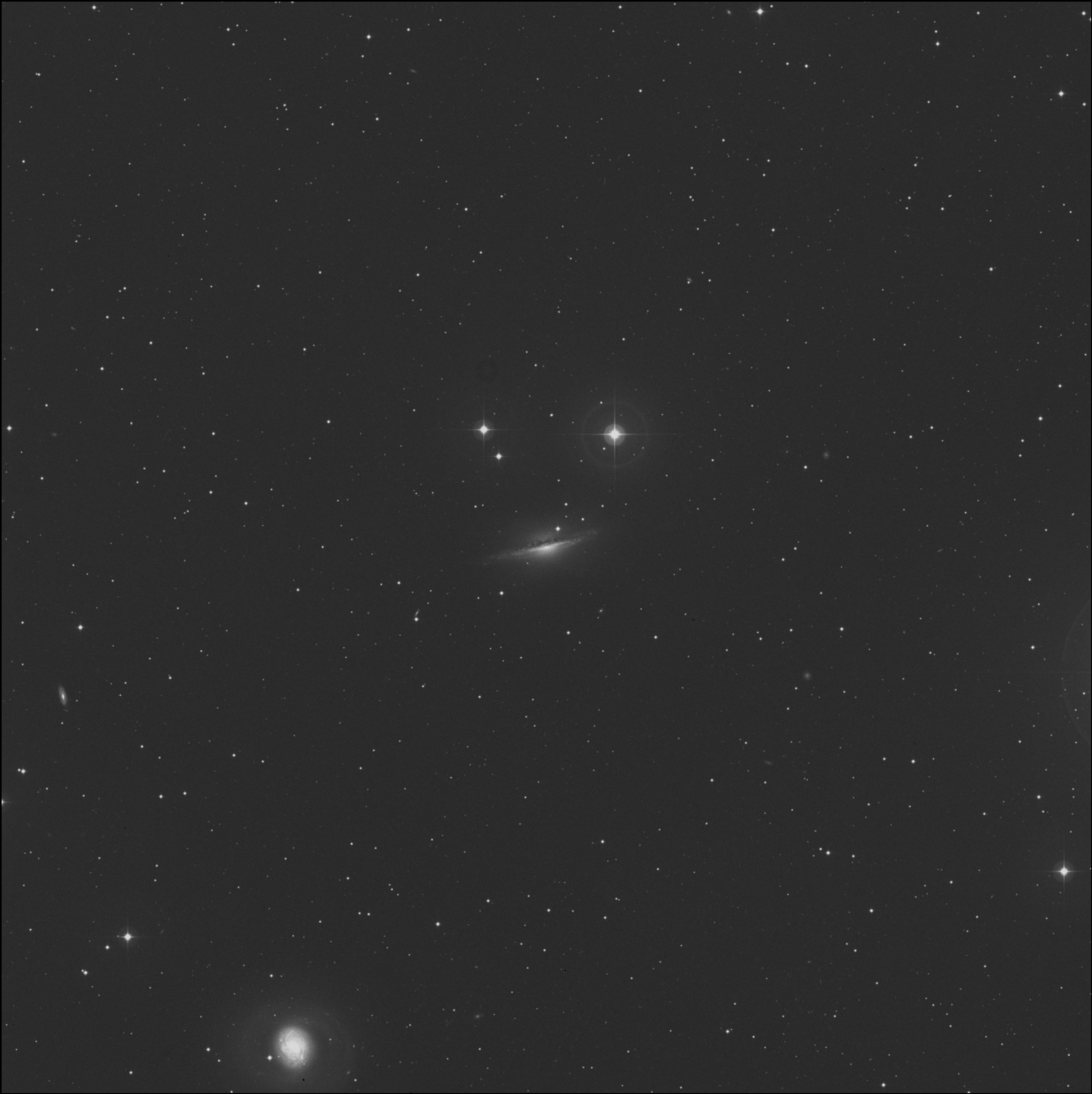 Galaxia de la Ballena Pequeña