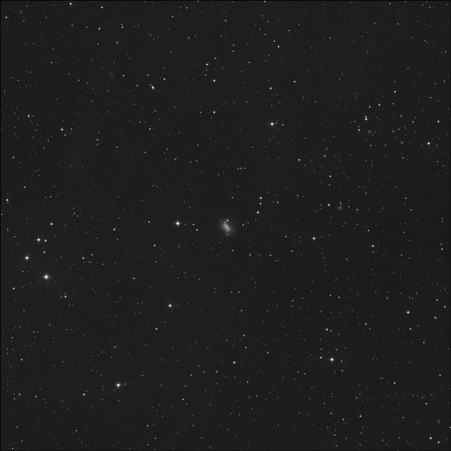 NGC 1156