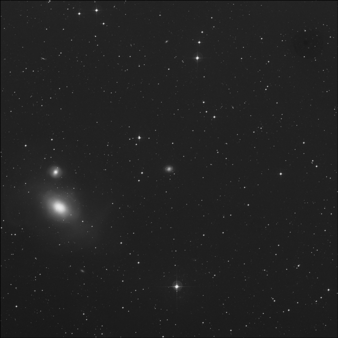 NGC 1310