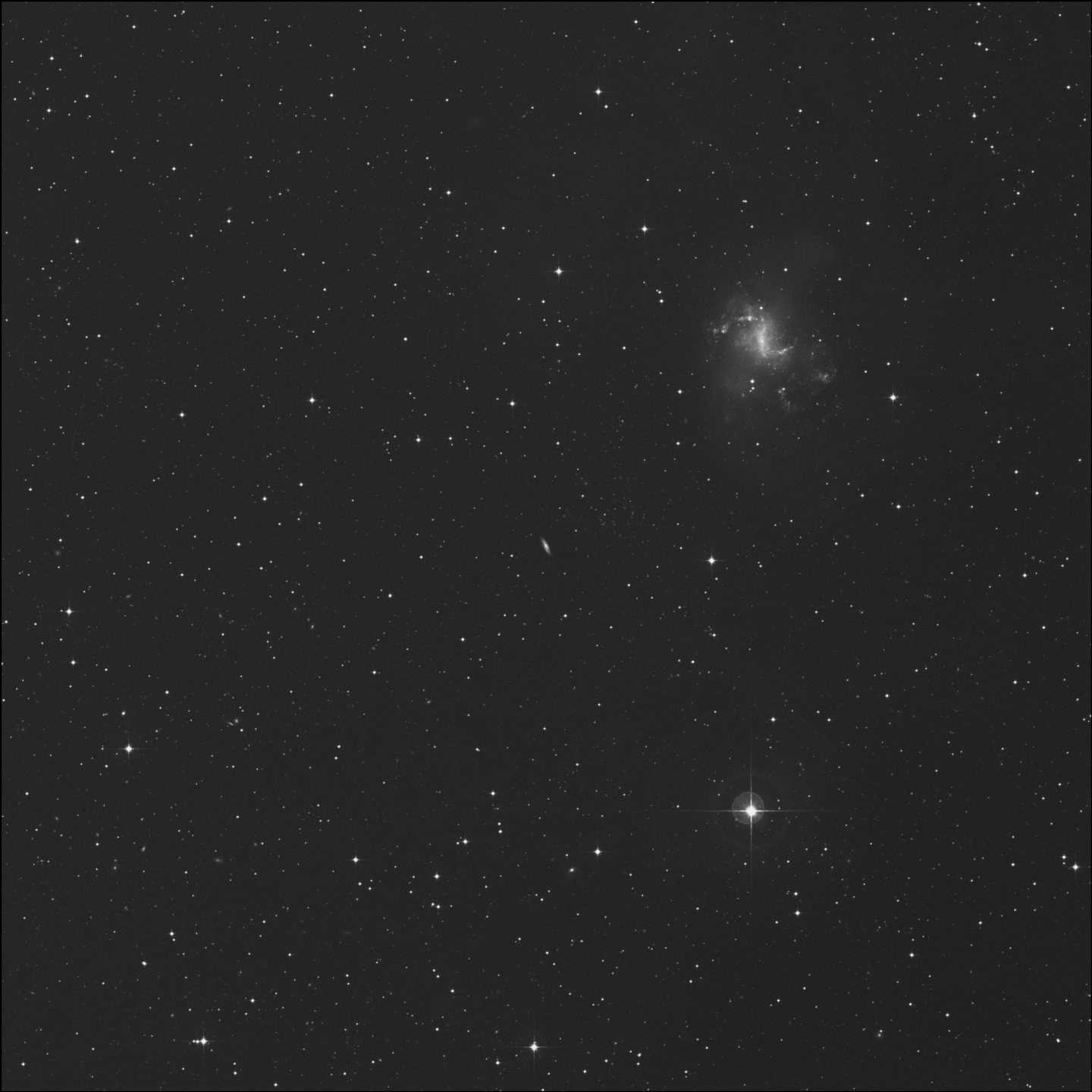 NGC 1313