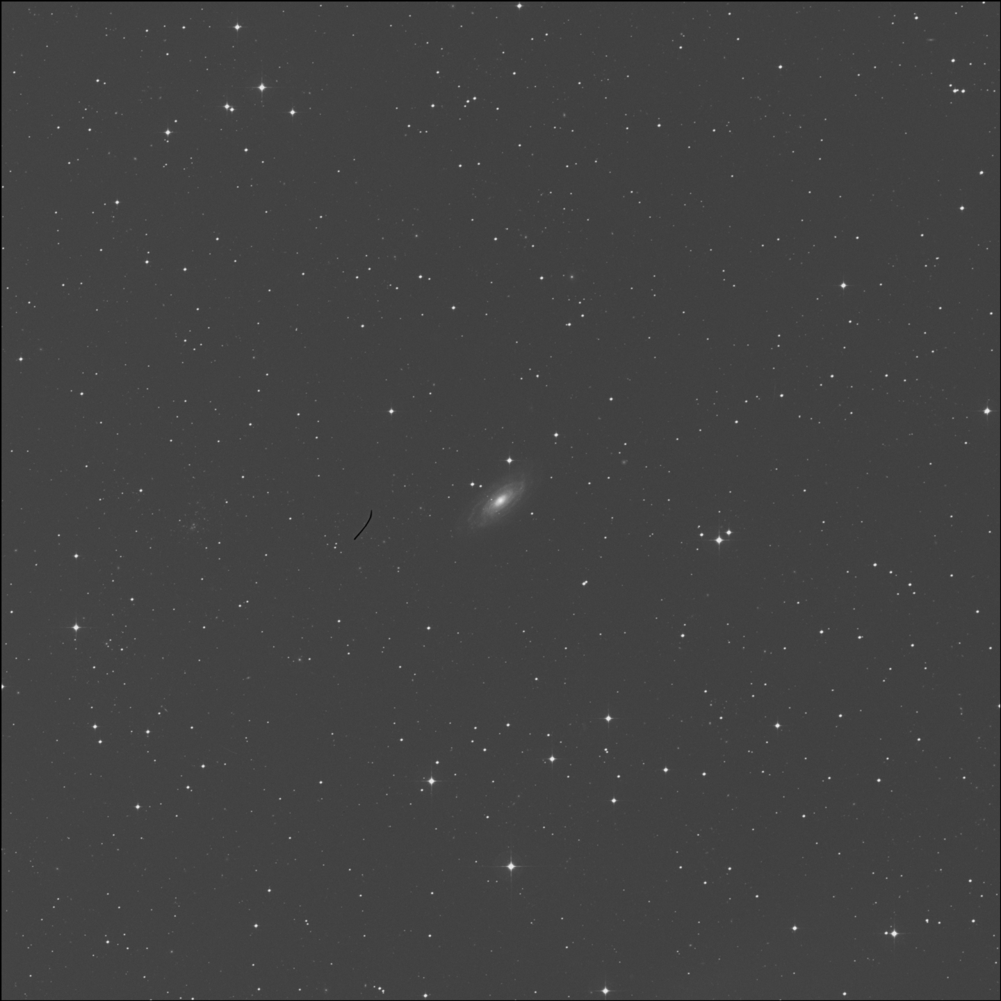 NGC 1425