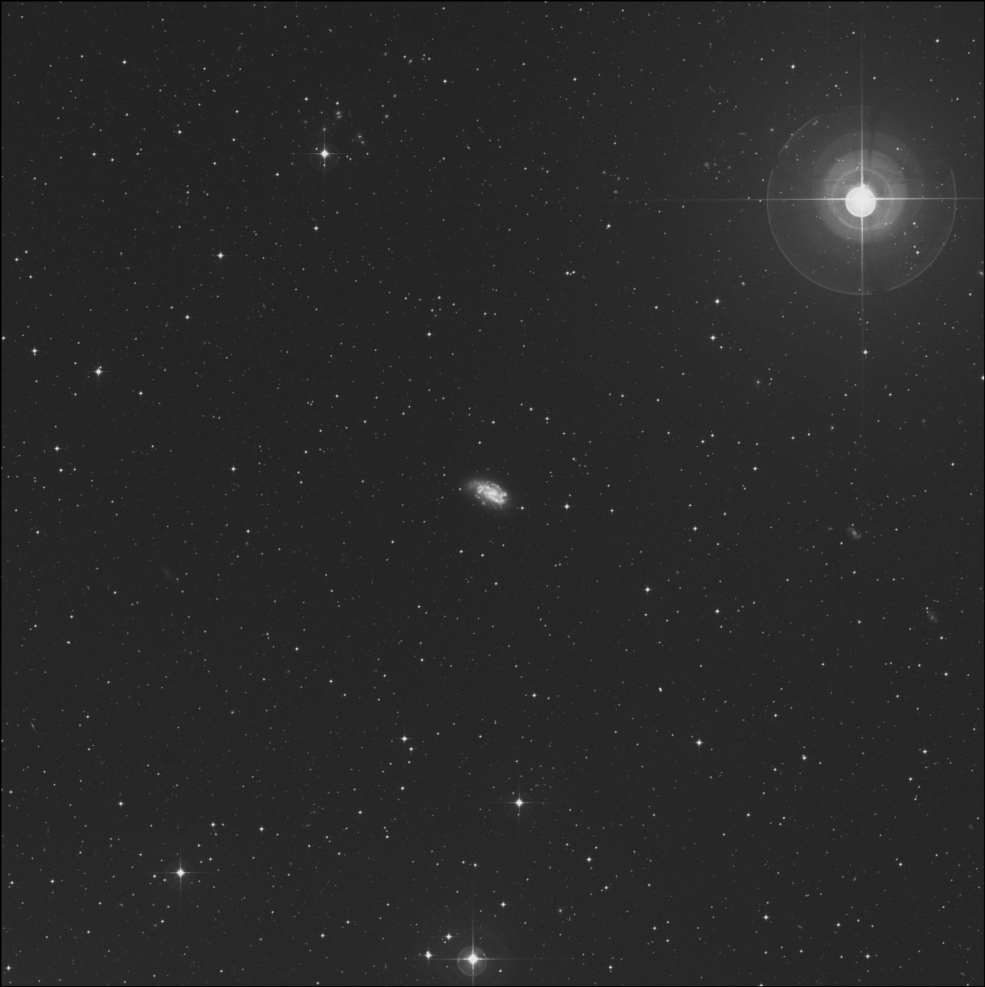NGC 1559