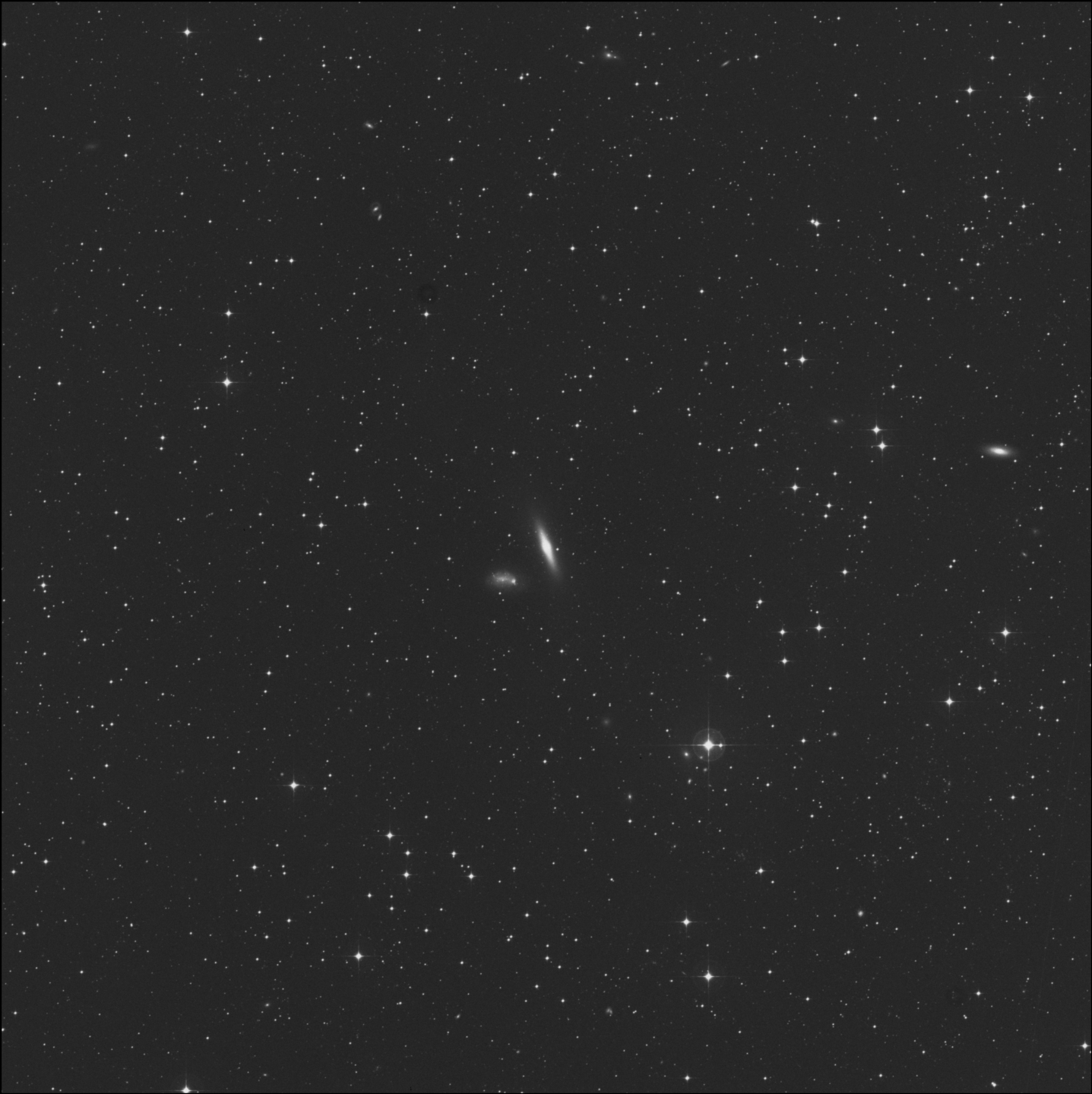 NGC 1596
