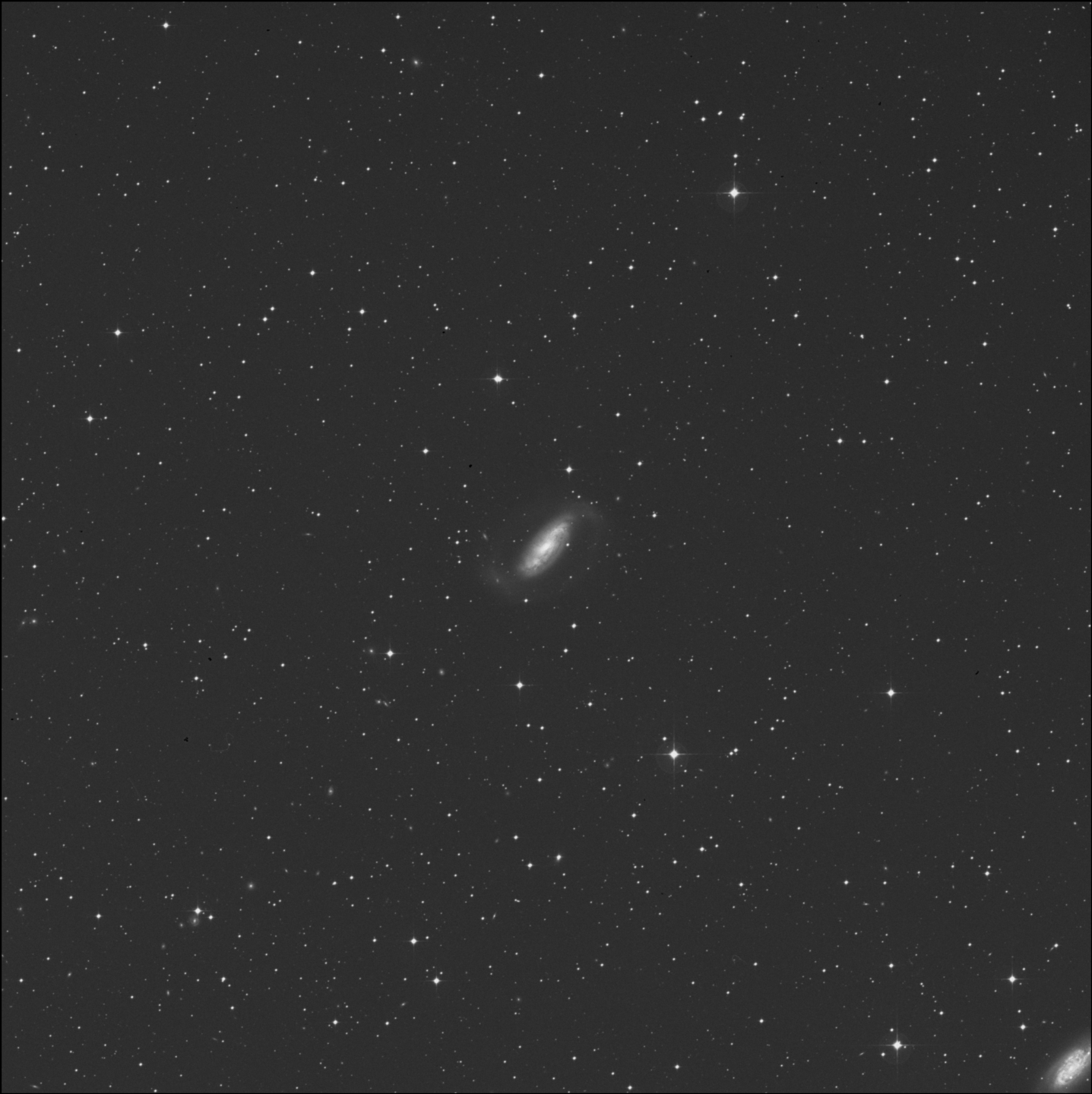 Galaxia del Pavo Real