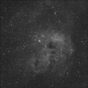 Cúmulo del Renacuajo