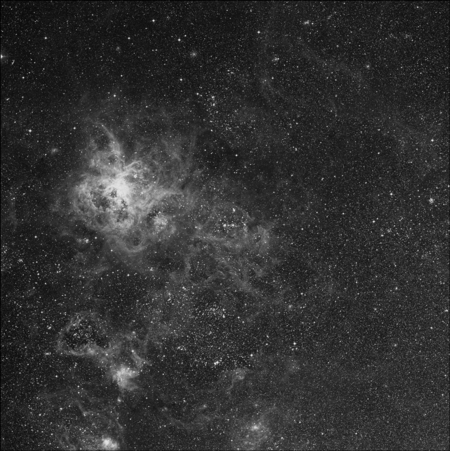 NGC 2044