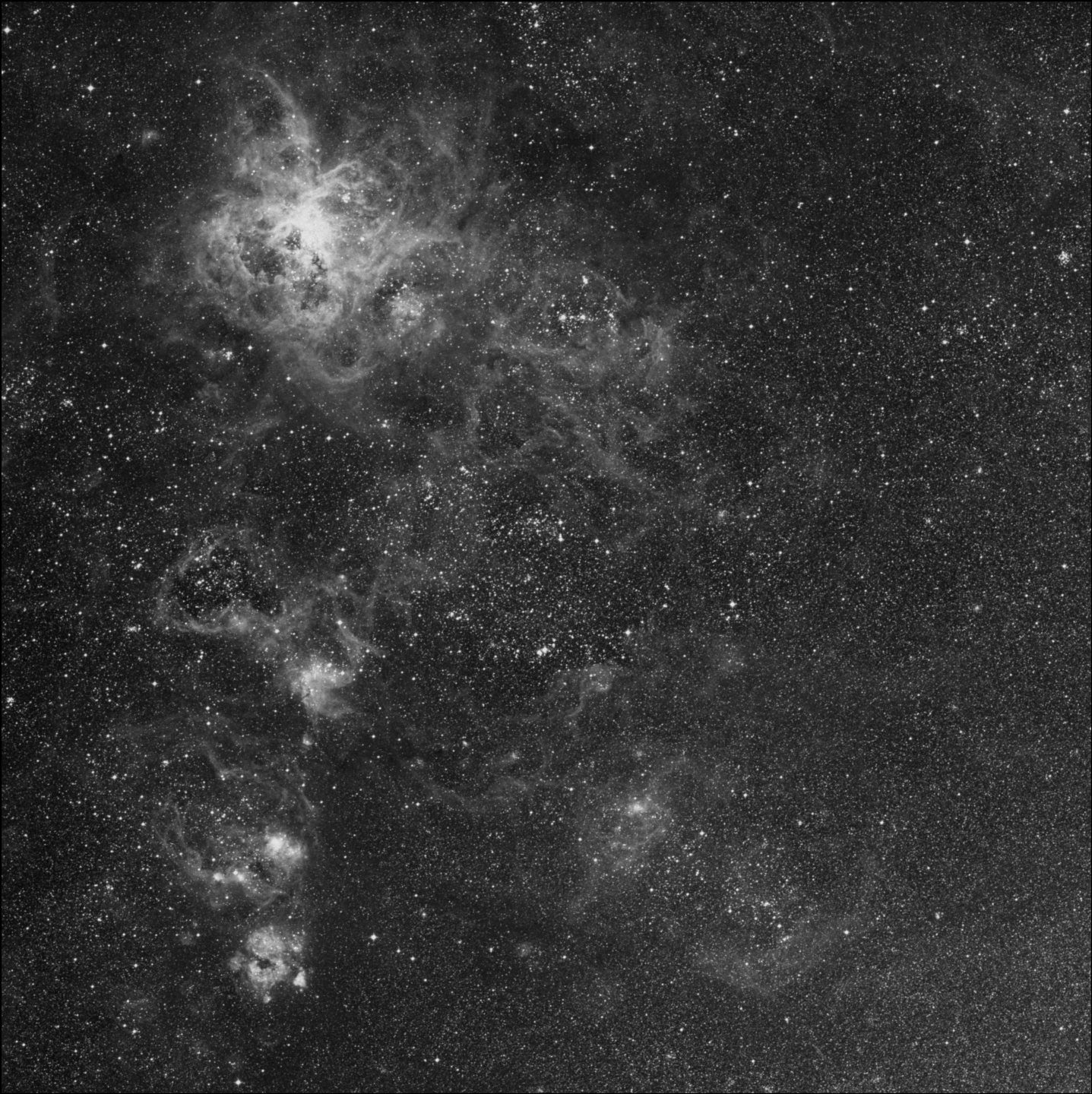 NGC 2050
