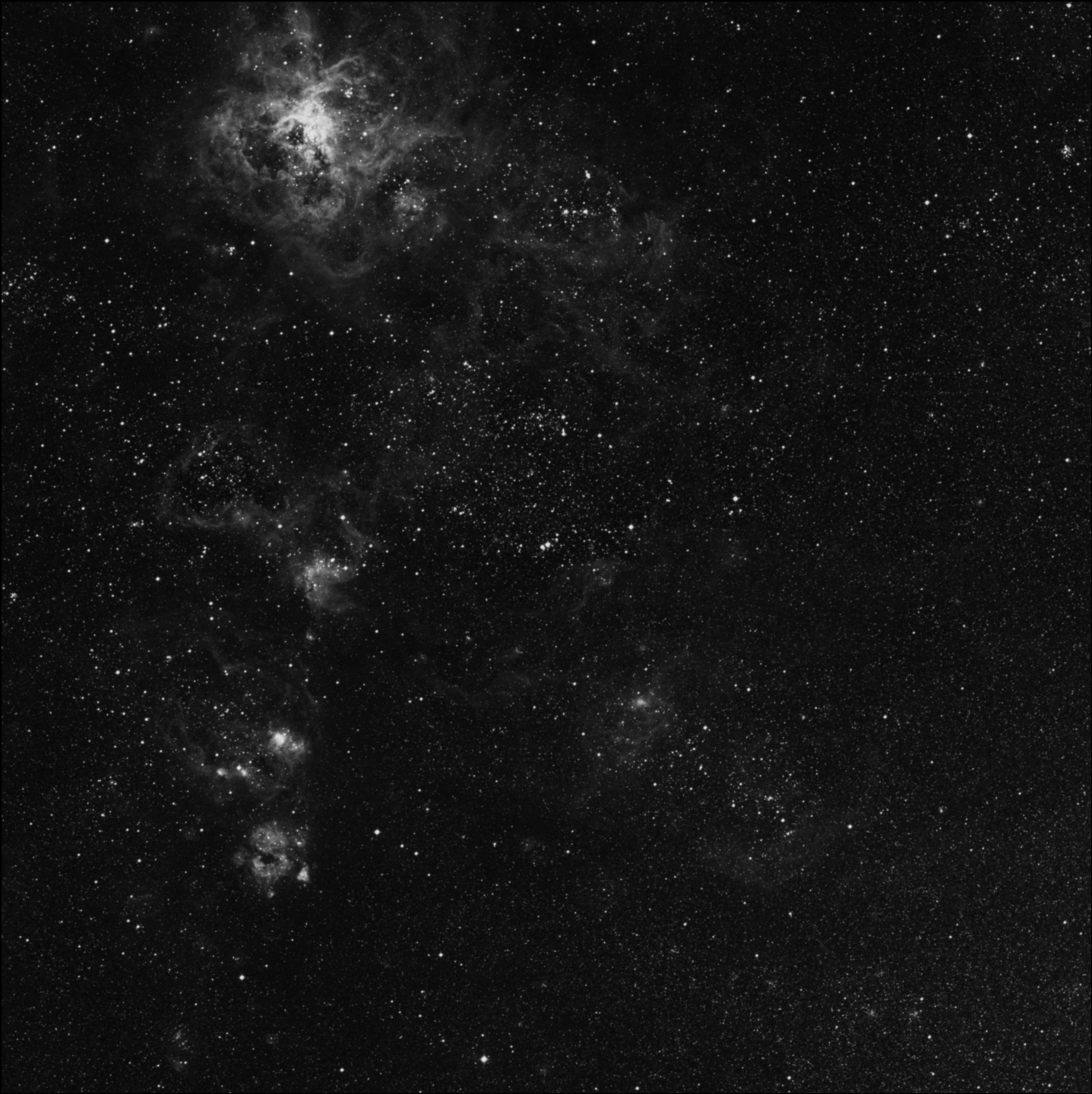 NGC 2055