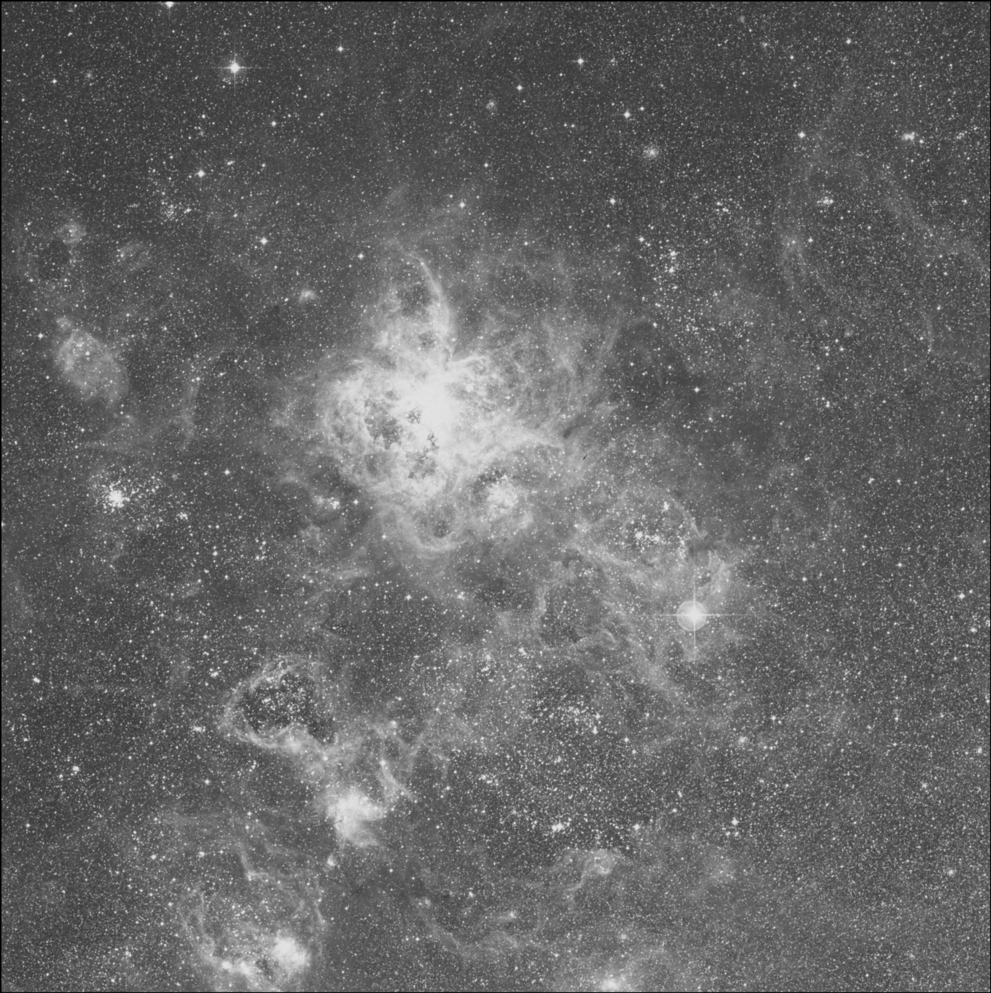 Nido de la Tarántula