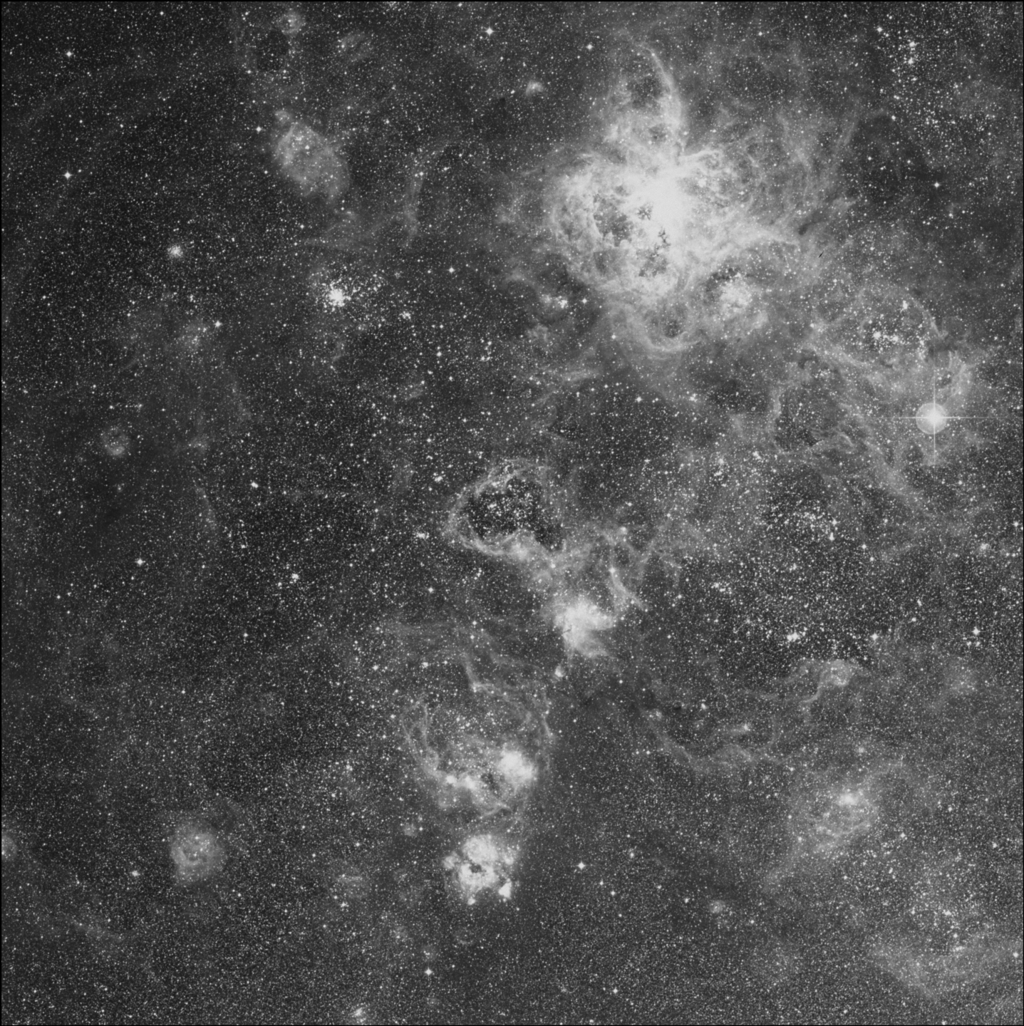 NGC 2081