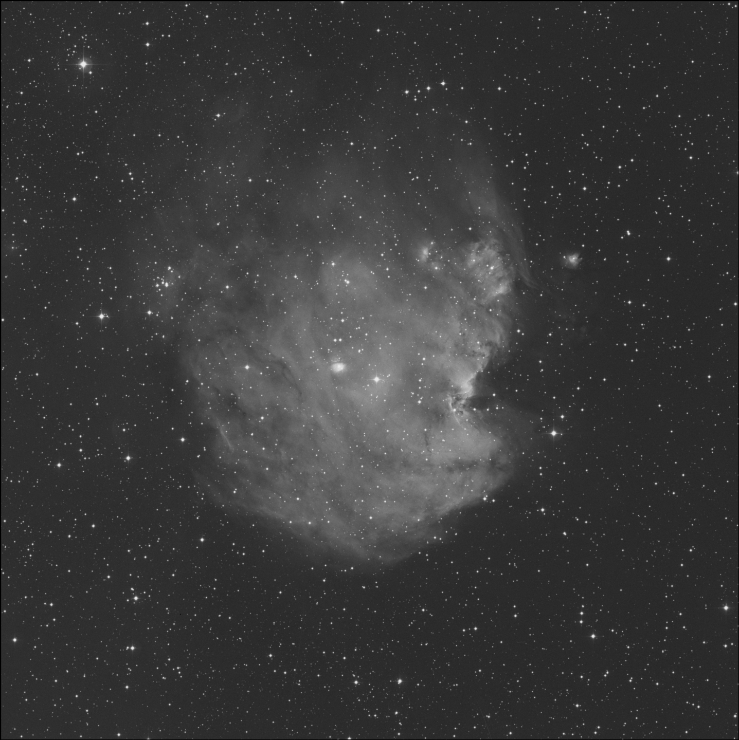 Nebulosa Cabeza de Mono