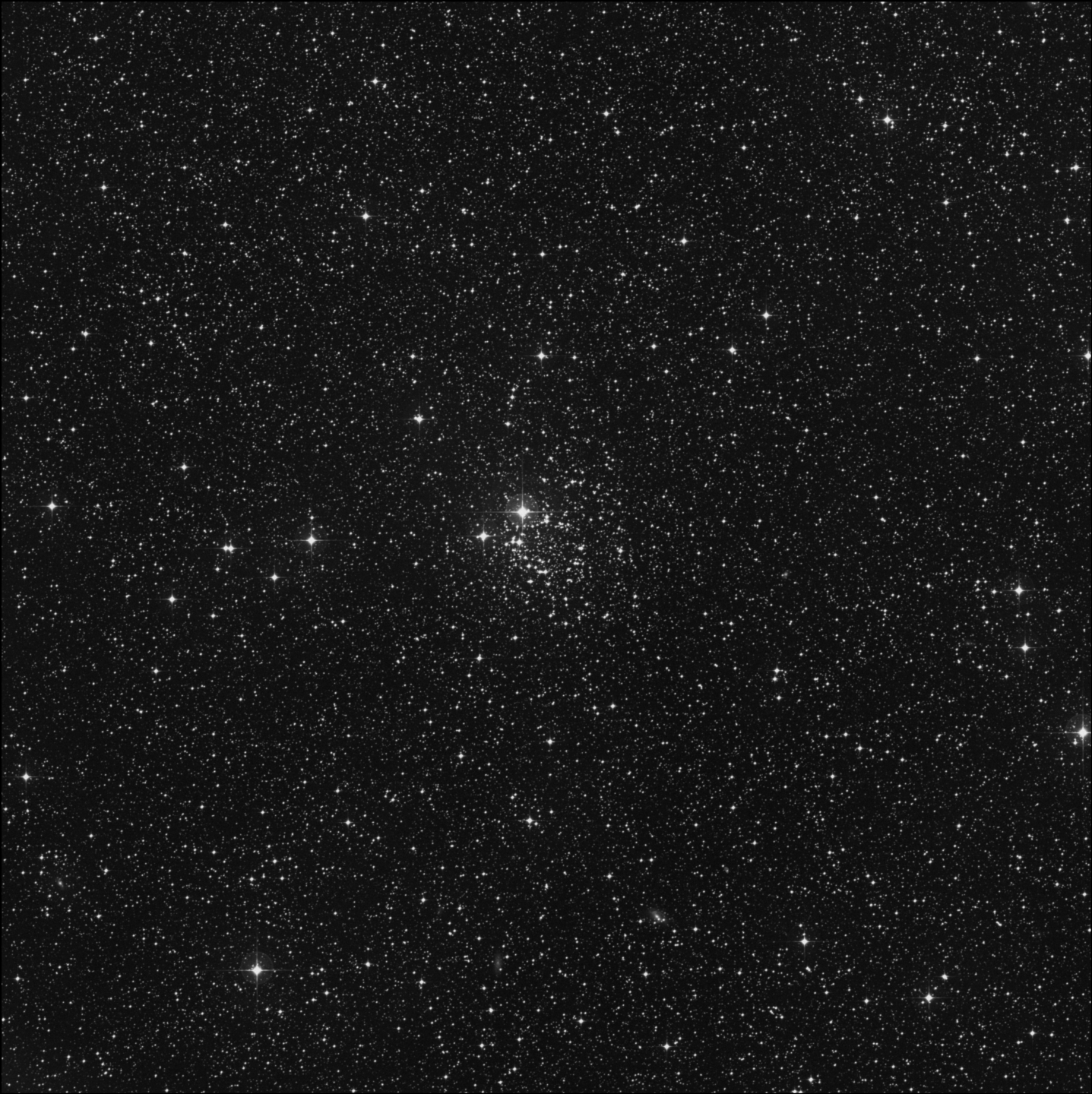 NGC 2439