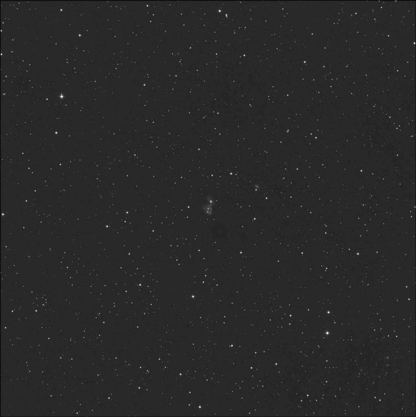 NGC 2445