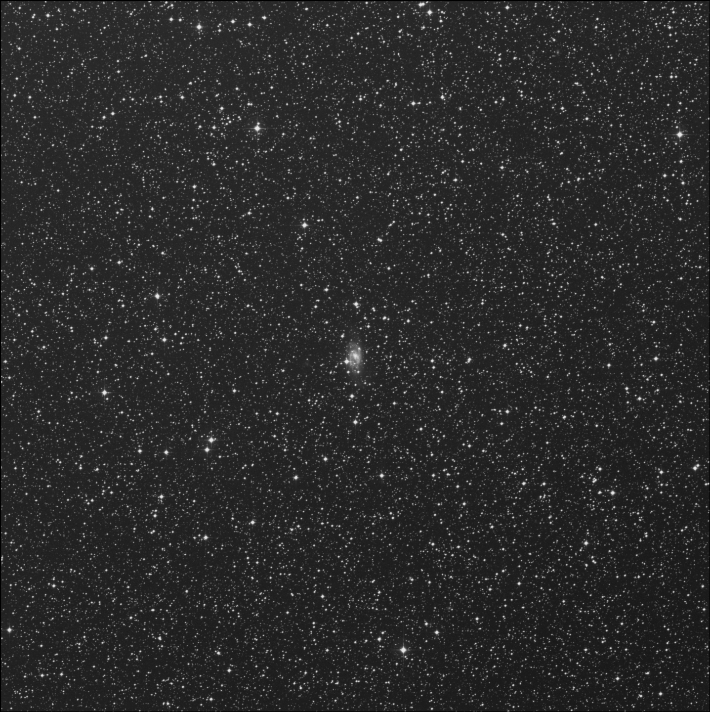 NGC 2559