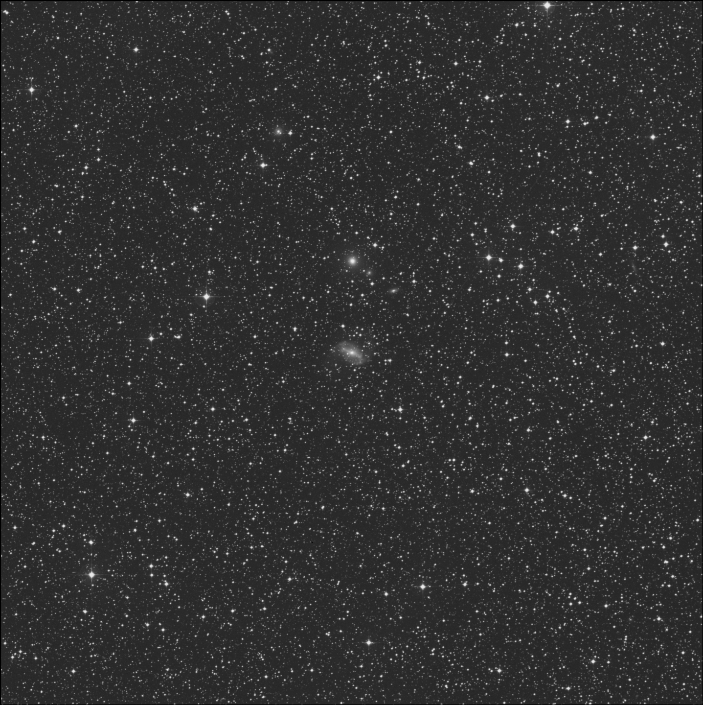 NGC 2566