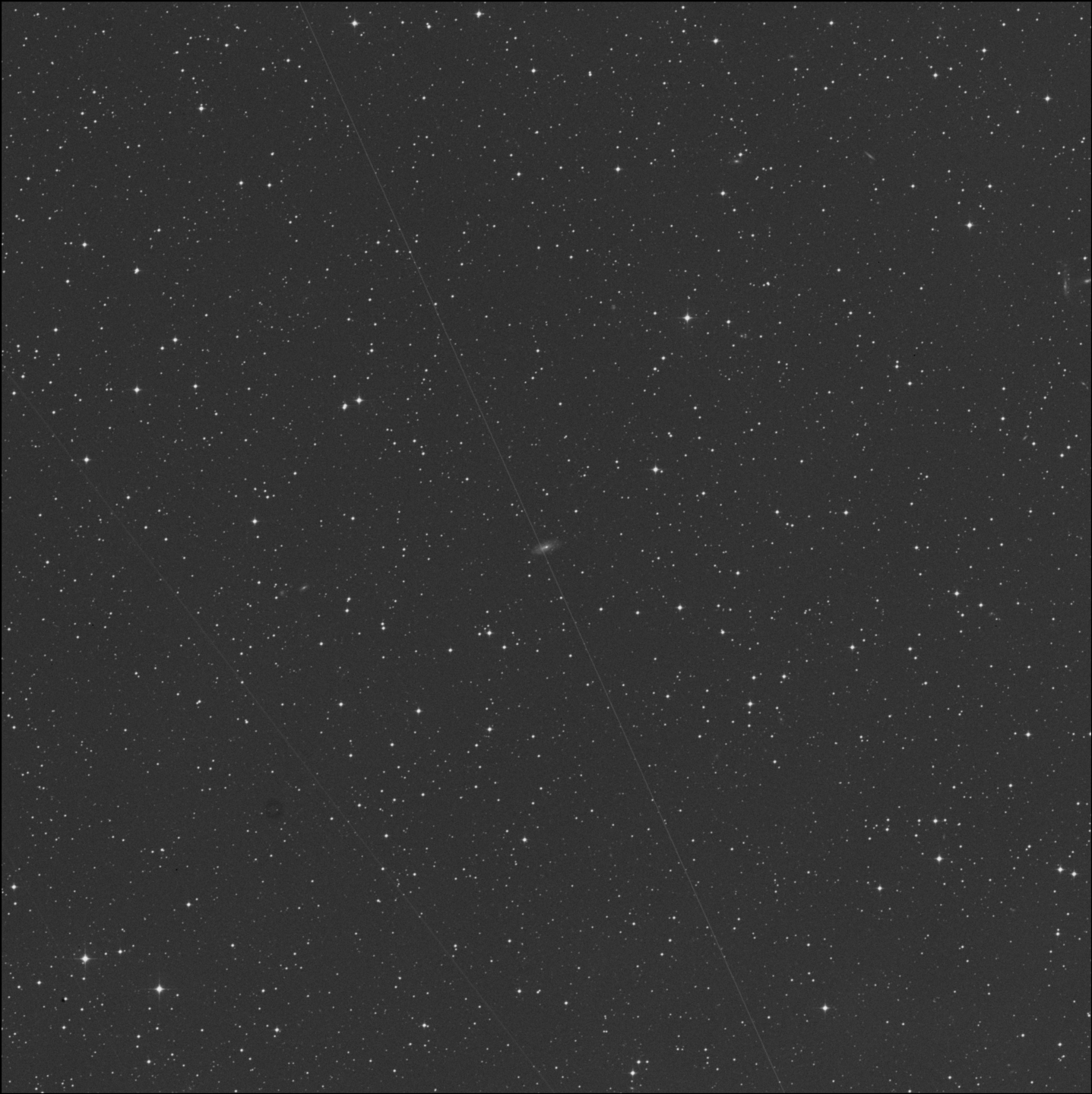 Polarissima Australis