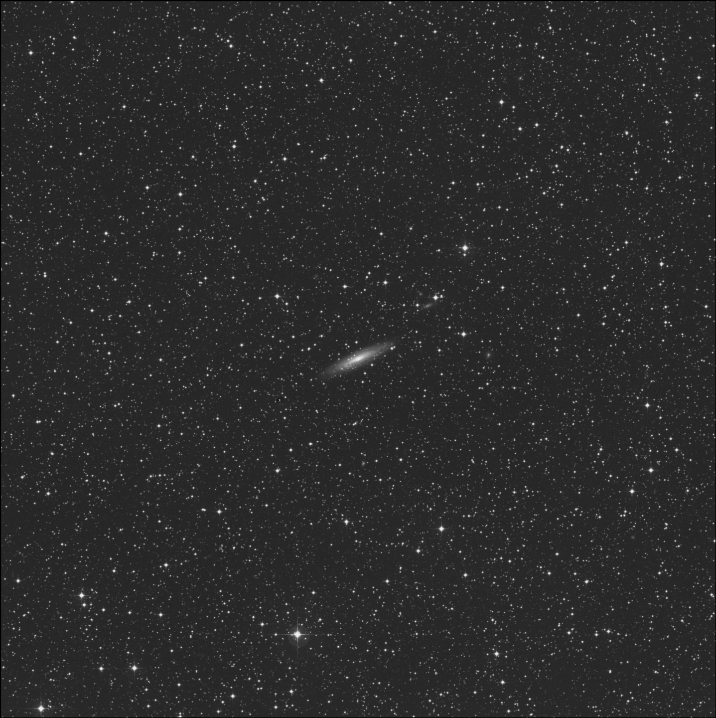 NGC 2613