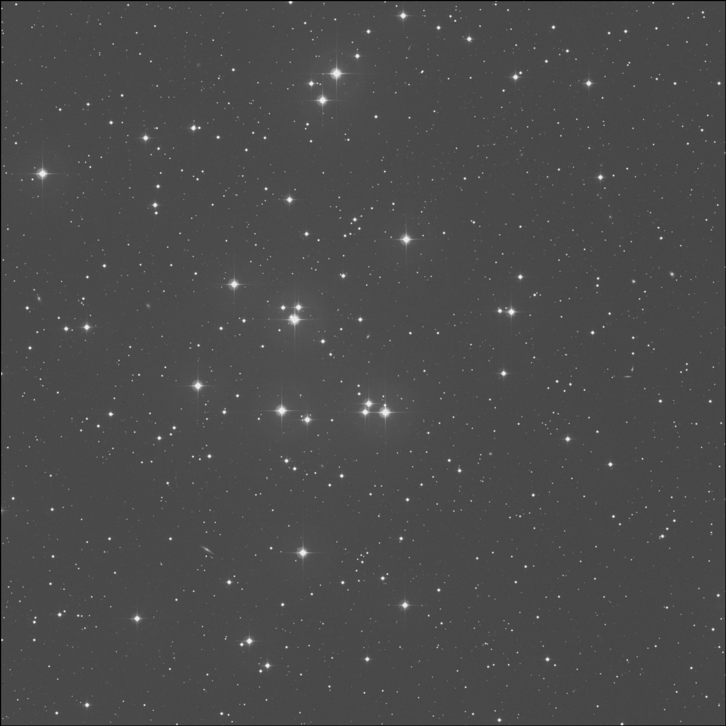 Colmena, Cúmulo del Pesebre