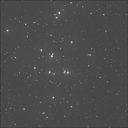 Colmena, Cúmulo del Pesebre