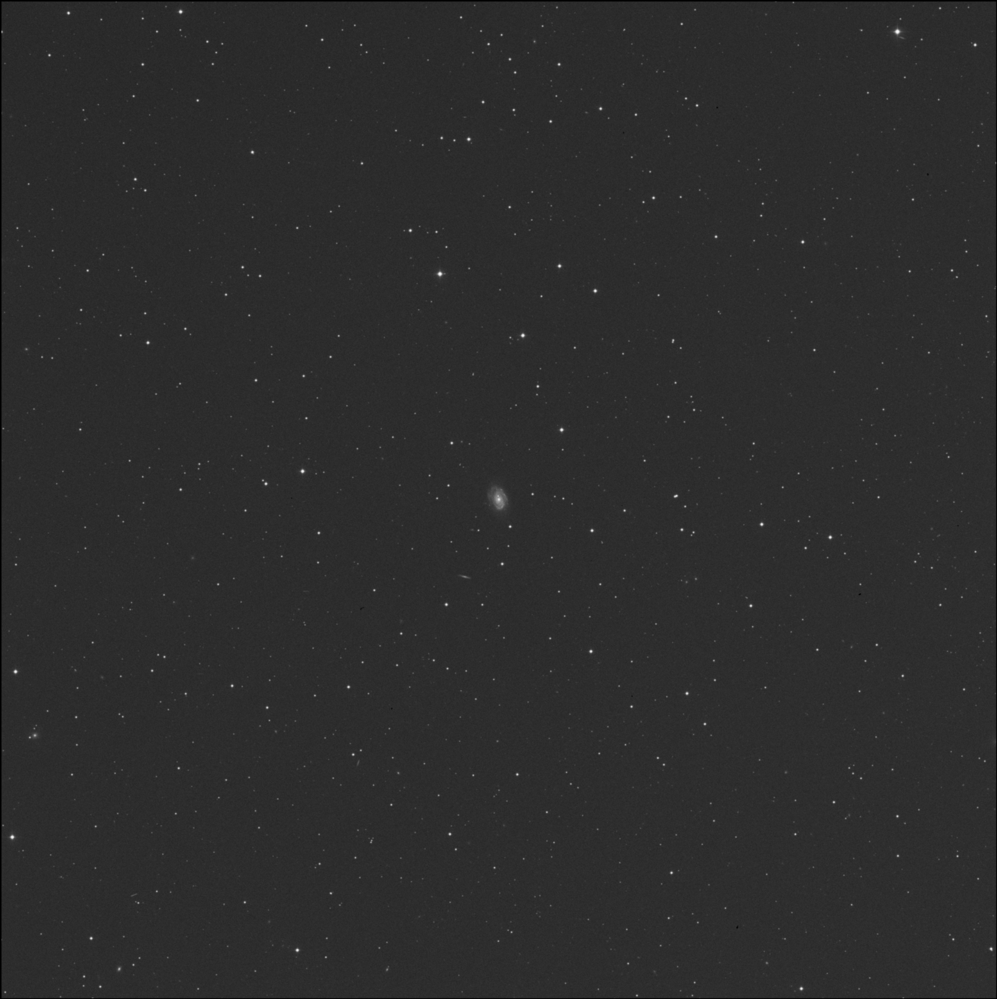 NGC 2916