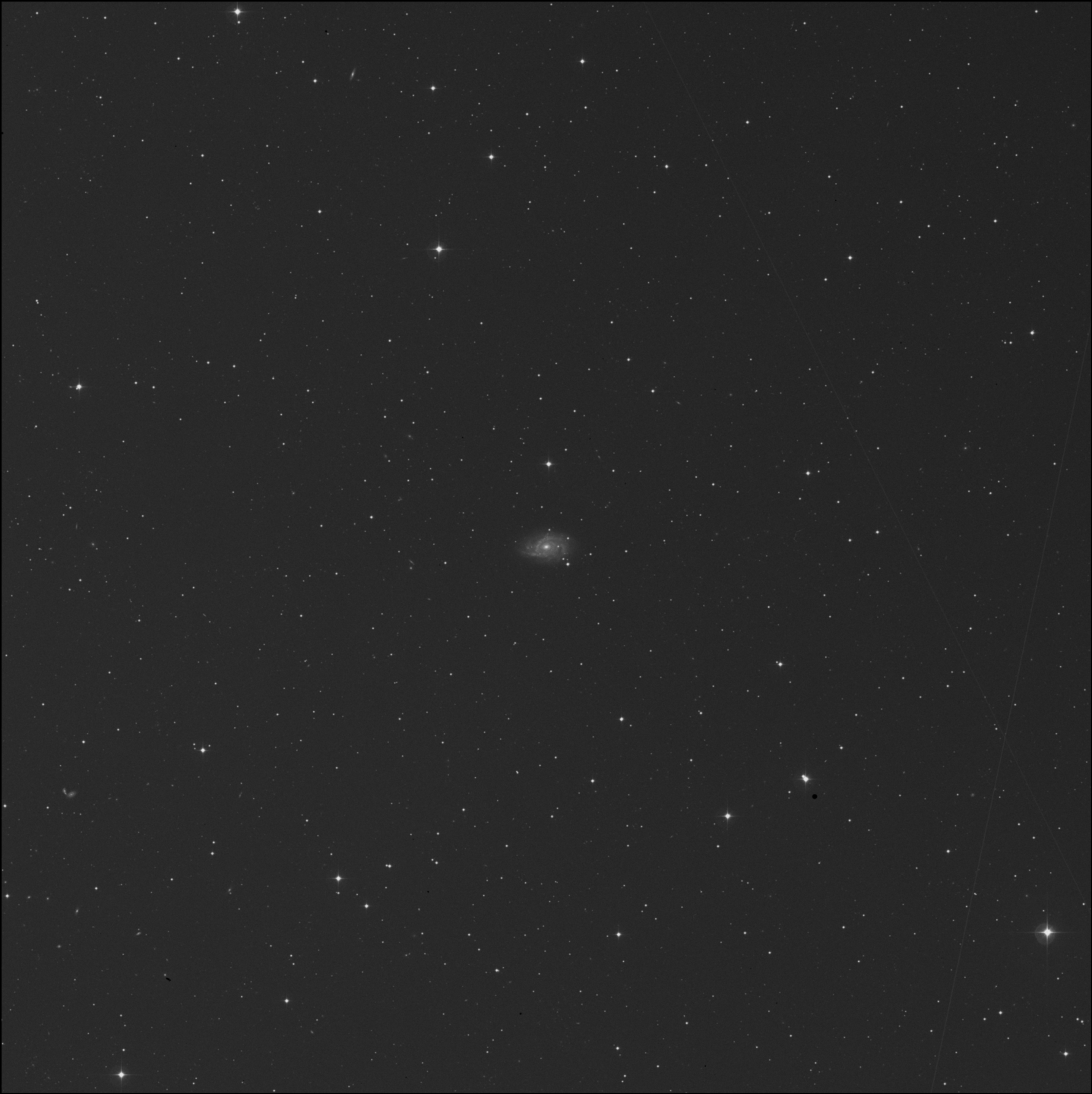 NGC 3041