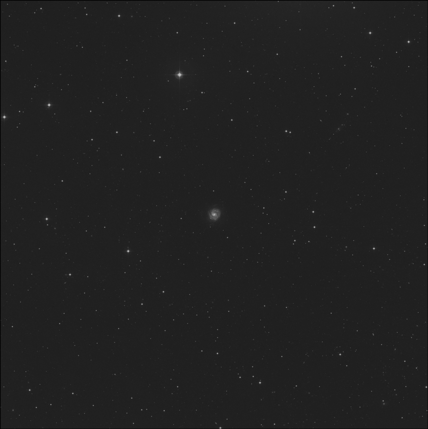 NGC 3596
