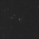 NGC 3981